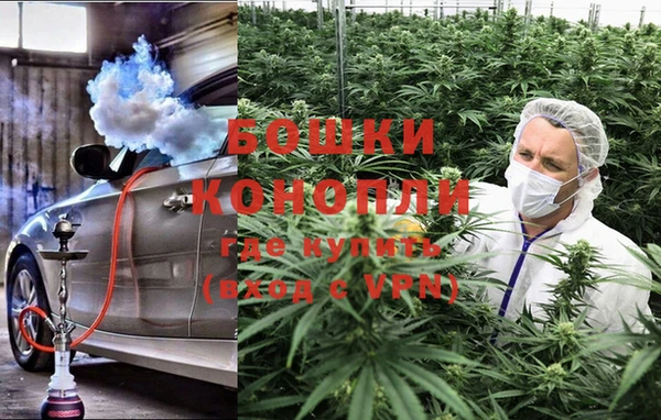 мет Алексин