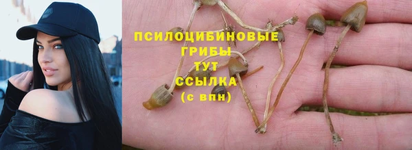 дживик Алзамай