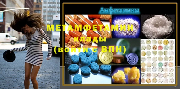 мет Алексин