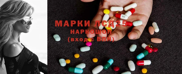 мет Алексин
