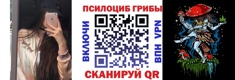 купить наркоту  Гусь-Хрустальный  Галлюциногенные грибы MAGIC MUSHROOMS 